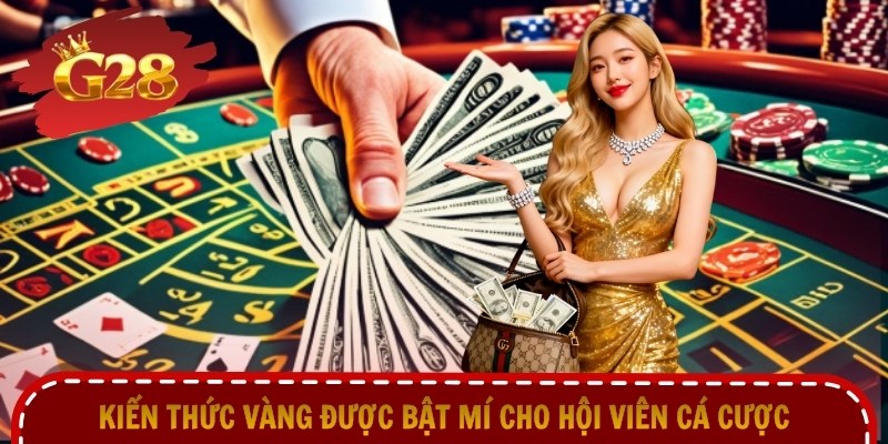 Kiến thức vàng được bật mí cho hội viên cá cược