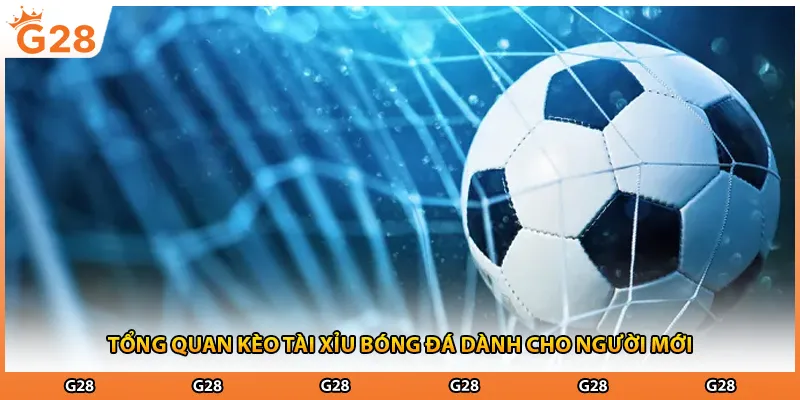 Tổng quan kèo tài xỉu bóng đá dành cho người mới